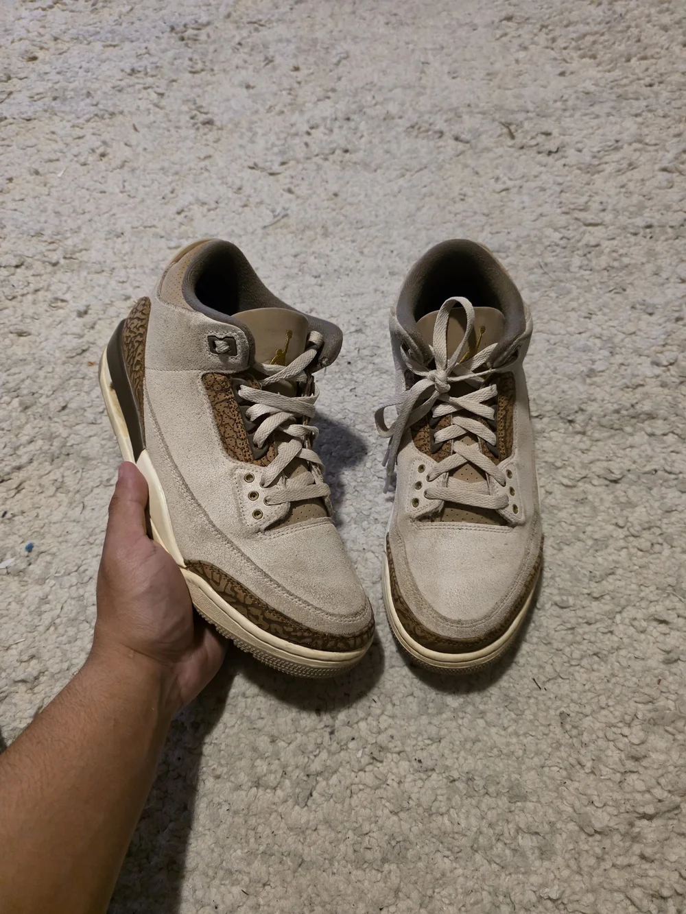 Jordan Retro Low Top Sneakers in Beige and Brown